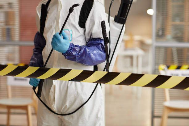 Professional Biohazard Cleanup technician working in Thrall, TX